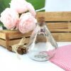 تصویر کوچک بطری شیشه ای آمازون کلوش درب چوب پنبه ای پیشگامان