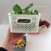 تصویر کوچک سبد میوه سایز 1 مرسه مدل ترنج کد 29-700