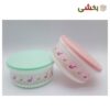 تصویر کوچک ظرف نگهدارنده فریزری رزمن سایز ۲