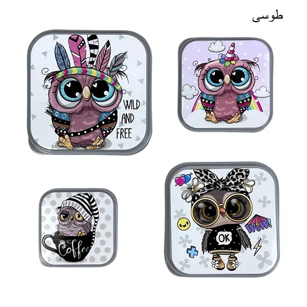 ظرف نگهدارنده 4 تکه تاپکو