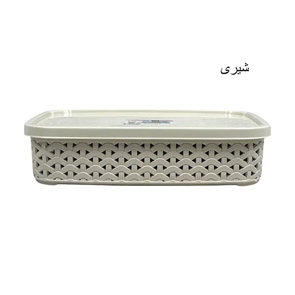 باکس دربدار سایز 4 آریسام