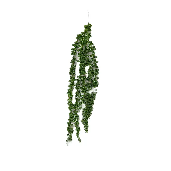 آویز بوته ی غوره