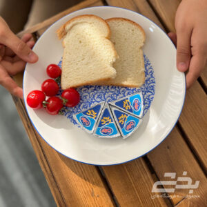 بشقاب s 25 پلو طرح دنی هوم