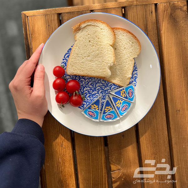 بشقاب s 25 پلو طرح دنی هوم