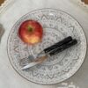 تصویر کوچک ست کارد و چنگال پذیرایی 12 عددی بونیتو