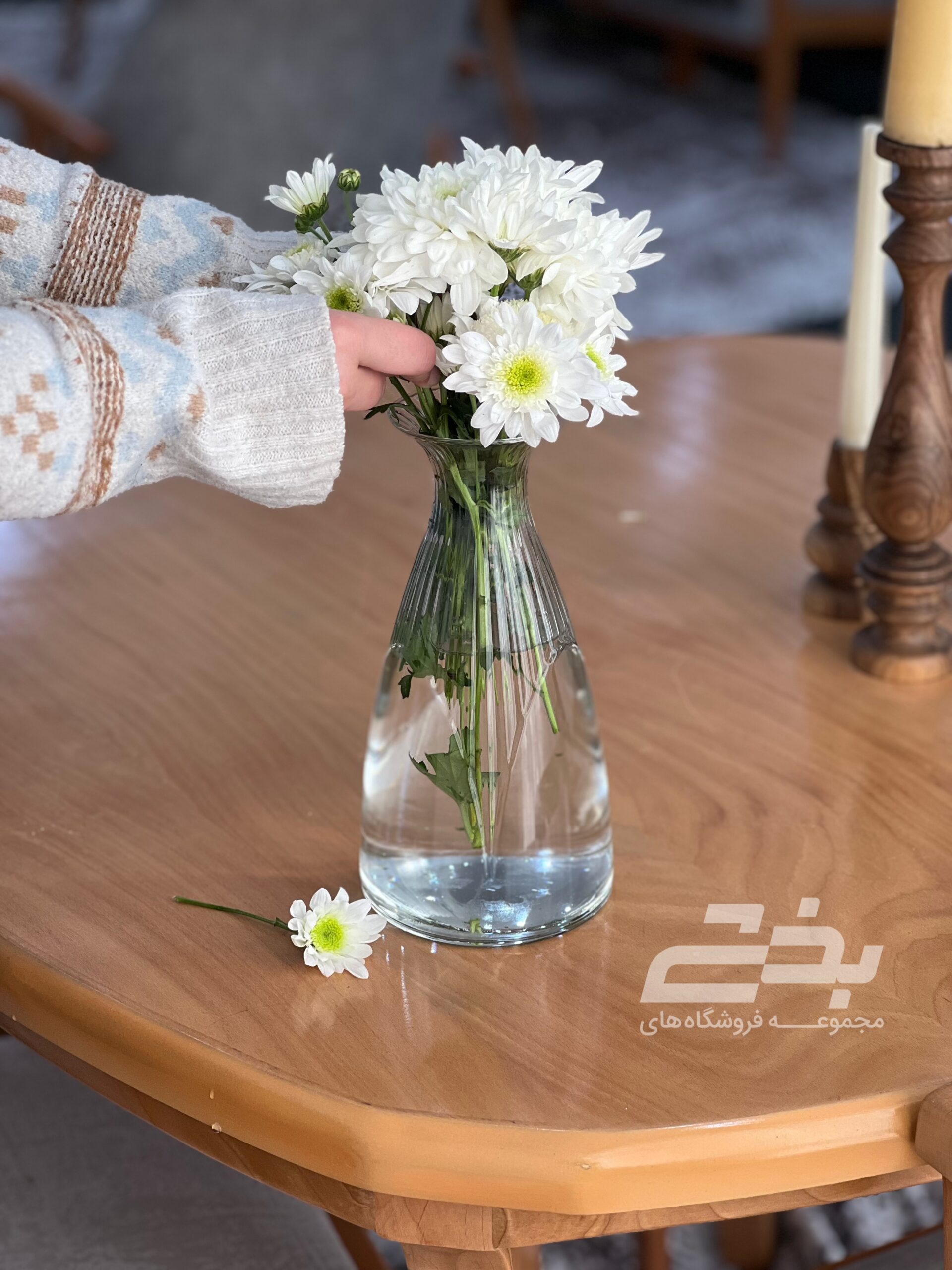 گلدان فرنیکا دنیز