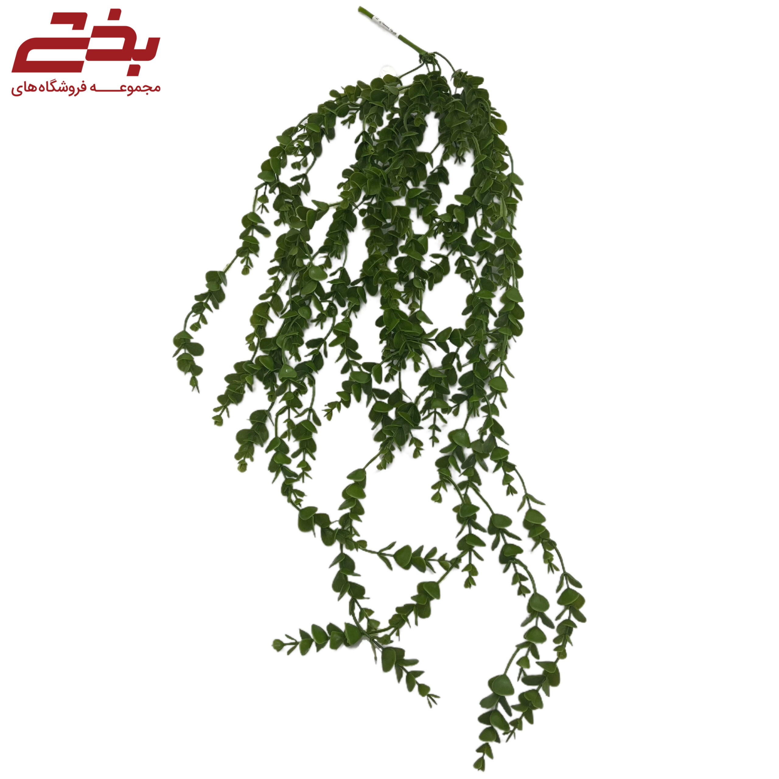 آویز بوته شمشاد پر