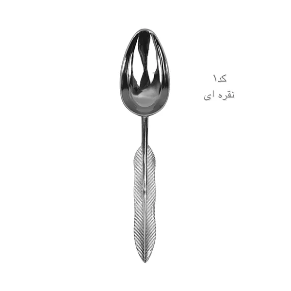 قاشق آجیل برگی شنیا