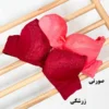 تصویر کوچک سوتین جکدار سایز کوچک
