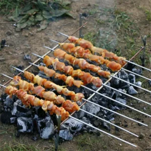 منقل مسافرتی حیران بزرگ