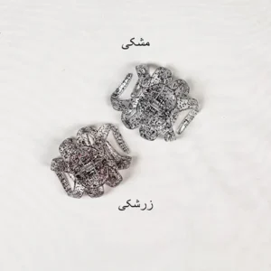 کلیپس گوجه ای اکلیلی