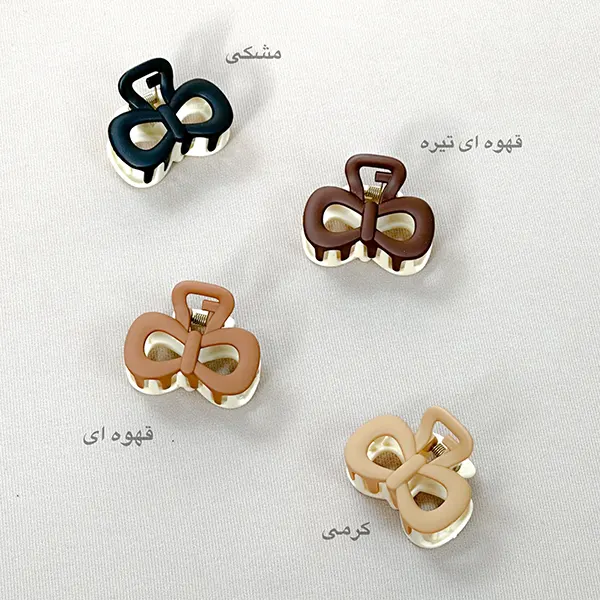 کلیپس 4سانت دورنگ