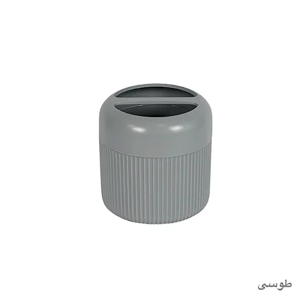 جا مسواکی پاپل پادیز