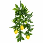 تصویر کوچک آویز بوته میوه